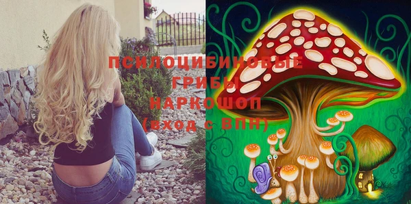 дурь Володарск