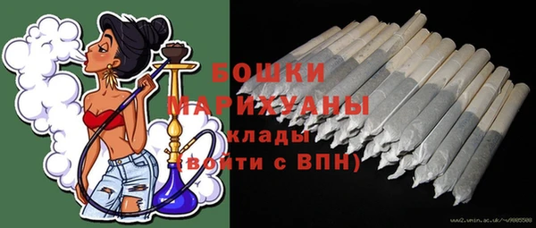 дмт Бородино